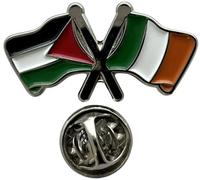 NWFlags Ireland & Palestine Pin Badge | Friendship Flag | Small Lapel Badge | Metal and Enamel