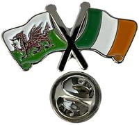 NWFlags Wales & Ireland Pin Badge | Friendship Flag | Small Lapel Badge | Metal and Enamel