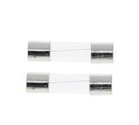 NWPNLXEA 10PCS 5x20mm Fast Blow Glass Tube Fuses 0.1A 0.2A 0.3A 0.5A 0.75A 1A 1.5A 2A 2.5A 3A 4A 5A 6A 8A 10A 20A 25A 30A 250V 5 * 20mm (0.25A)