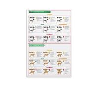 NWPNLXEA Animal Care Educational Poster - Dog and Cat Weight & Body Condition Reference, Canvas Wall Art for Veterinary Students, Pet Owners, and Animal Welfare Decor(Unframed,12x18inch(30x45cm))