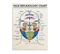 NWPNLXEA Artistic Facial Anatomy Chart Canvas Print for Aesthetics Students and Beauty Salon Waiting Room Decor Unframed,16x24inch(40x60cm)
