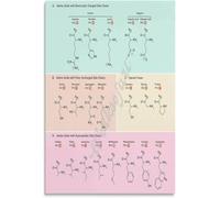 NWPNLXEA Biochemistry Poster Genetic Code and Amino Acids Chart Educational Wall-Art for Student Study Room Decor Science Aesthetic Unframed,16x24inch(40x60cm)
