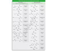 NWPNLXEA Biochemistry Reference Poster Genetic Code and Amino Acids Chart for Study Room Wall Decor Science Enthusiast Gift Idea Print Unframed,16x24inch(40x60cm)