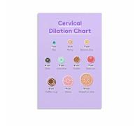 NWPNLXEA Cervical Dilation Labour Phases Educational Poster for Student Midwives Childbirth Educators Parents Nursery Art Unframed,12x18inch(30x45cm)