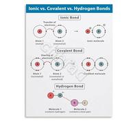 NWPNLXEA Chemical Bonding Comparison Poster Covalent Hydrogen Bonds Chemistry Study Guide Educational Wall-Art Framed,08x12inch(20x30cm)