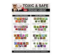 NWPNLXEA Dog Cat Safety Poster - Toxic & Safe Plants Chart, Guide to Poisonous Flowers for Pets, Pet Owner Essential, Home or Vet Clinic Wall Decor Framed,16x24inch(40x60cm)