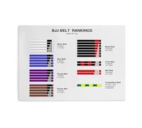 NWPNLXEA Dojo Training Poster Grappling Belt Rank Progression Chart Martial Arts Educational Wall-Art for Gym Training and Progress Reference Framed,08x12inch(20x30cm)