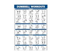 NWPNLXEA Dumbbell Workout Poster Set for Home Gym - 2 Pack Laminated Exercise Charts with Full Body Routines for Beginners and Advanced Lifters Framed,16x24inch(40x60cm)