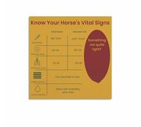 NWPNLXEA Educational Wall Art Horse Vital Signs Veterinary Reference Chart For Equine Care Home Office Unframed,08x12inch(20x30cm)