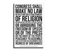 NWPNLXEA First Amendment & Bill of Rights Poster - US Constitution Text Wall Art for History Classroom, Law Office Decor Framed,08x12inch(20x30cm)