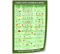 NWPNLXEA Gardeners Reference Poster Vegetable Companion Planting Guide Plant Combinations Chart For Organic Garden Layout Framed,08x12inch(20x30cm)