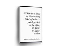 NWPNLXEA Marcus Aurelius Quote Canvas Print When You Arise in the Morning Think of What a Privilege It Is to Be Alive Wall-Art for Home Office School Decor Unframed,08x12inch(20x30cm)