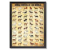 NWPNLXEA Retro Style Horse Breeds Chart, World Equine Knowledge Poster for Living Room, Study & Country Decor Unframed,12x18inch(30x45cm)