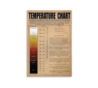NWPNLXEA The Potters Firing Reference Poster Kiln Temperatures Cone Chart Glaze Firing Guide Instructional Wall-Art for Ceramics Workshop Office Unframed,12x18inch(30x45cm)