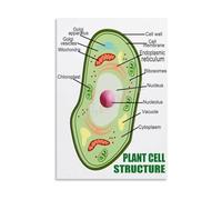 NWPNLXEA Vintage Plant Cell Anatomy Poster, Biology Science Education Chart, Large Wall Art Print for School Classroom, Study Room and Laboratory Decor Framed,16x24inch(40x60cm)