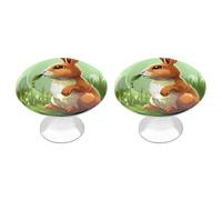 NWTRJ Kitchen Cabinet Knobs 2 Pack, Modern Style Drawer Dresser Knob Pulls Cartoon Rabbit Eating Grass Round Drawer Knobs for Home Office Kitchen