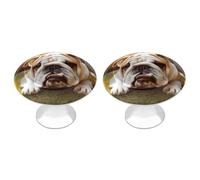 NWTRJ Kitchen Cabinet Knobs 2 Pack, Modern Style Drawer Dresser Knob Pulls Cute Bulldog Puppy Round Drawer Knobs for Home Office Kitchen