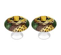 NWTRJ Kitchen Cabinet Knobs 2 Pack, Modern Style Drawer Dresser Knob Pulls Cute Cheetah Round Drawer Knobs for Home Office Kitchen