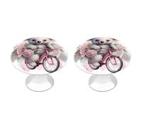 NWTRJ Kitchen Cabinet Knobs 2 Pack, Modern Style Drawer Dresser Knob Pulls Cute Koala Round Drawer Knobs for Home Office Kitchen