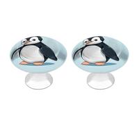 NWTRJ Kitchen Cabinet Knobs 2 Pack, Modern Style Drawer Dresser Knob Pulls Cute Penguin Round Drawer Knobs for Home Office Kitchen