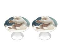 NWTRJ Kitchen Cabinet Knobs 2 Pack, Modern Style Drawer Dresser Knob Pulls Funny Polar Bear Playing Snowball Round Drawer Knobs for Home Office Kitchen