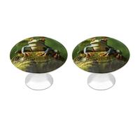 NWTRJ Kitchen Cabinet Knobs 2 Pack, Modern Style Drawer Dresser Knob Pulls Peace Frog Tree Round Drawer Knobs for Home Office Kitchen