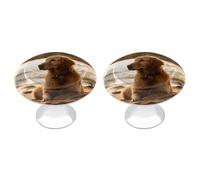 NWTRJ Kitchen Cabinet Knobs 2 Pack, Modern Style Drawer Dresser Knob Pulls Retriever Round Drawer Knobs for Home Office Kitchen