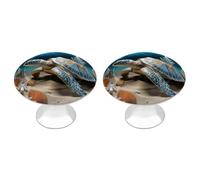 NWTRJ Kitchen Cabinet Knobs 2 Pack, Modern Style Drawer Dresser Knob Pulls Sea Conch Shell Starfish Turtle Round Drawer Knobs for Home Office Kitchen