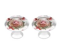 NWTRJ Kitchen Cabinet Knobs 2 Pack, Modern Style Drawer Dresser Knob Pulls Smiling Round Drawer Knobs for Home Office Kitchen