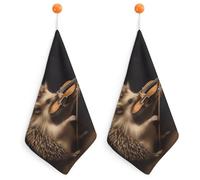 NWTRJ Microfiber Hand Towels Absorbent Soft Decorative Bathroom Towel Lightweight Breathable Animal Hedgehog Music Violin Kitchen Dish Towels for Hotel Spa Gym Home Decorations 2PCS