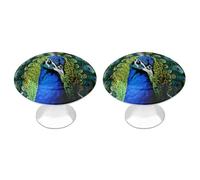 NWTRK Blue Peacock Kitchen Cabinet Knobs Round Drawer Dresser Knob Pulls Decor with Screws Dresser Drawers Knobs for Home Office Kitchen