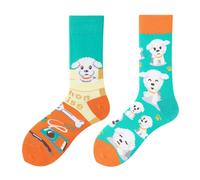 NxnChc Funny Socks for Men and Women Unisex Many Bichon Frise Motifs Animal Food Sports Art Made of Cotton Gift Asymmetrical Pattern Left and Right, Bichon Frise, 35-46