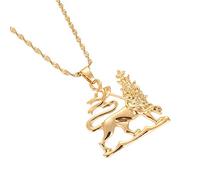 NXNONEPD Accessories for men and women Ethiopian Lion Pendant Necklaces Women Men Color Africa Lion Chain Jewelry Wedding anniversary, Valentine's Day, Christmas birthday gift