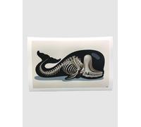 Nychos Sperm Whale Skeleton Fine Art Print multicolor Uni