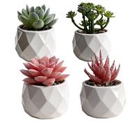 NYGTDW Set Of 4 Mini Artificial Succulent Plant Potted Plant Decorative Artificial Succulent Plant Flowerpot Indoor Artificial Plant Bedroom Office Desk Kitchen Decoration