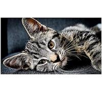 NYIXIA Stamped Cross Stitch Kits for Adults Beginner,Tabby Cat,DIY Designs Cross-Stitch Easy Supplies Needlework,Needlepoint Embroidery Gift for Home Decor 16x20 inch