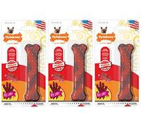 Nylabone (3 Pack) Power Chew Textured Beef Jerky Flavor Petite Bone for Dogs