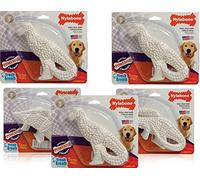 Nylabone (5 Pack) DuraChew Dental Dinosaur Chicken Flavor | Nylon Toy for Dogs