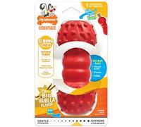 Nylabone Cone Bone Strong Natural Rubber Dental Dog Chew Toy Vanilla Flavour, Medium, for Dogs up to 16kg