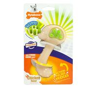 Nylabone Dental Chew Hedgehog Bristle Brush Dog Chew, Small