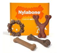 Nylabone Strong Chew Toy 4-Pack Bundle for Dogs Made with Real Bacon, Bison, Venison, Beef, & Chicken, Durable Dog Chew Bones for Aggressive Chewers, Small Dog Toys - Up to 25 lbs, 4 Count