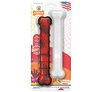 Nylabone Durable Power Dental Dog Chew Toys, Twin Pack, Beef Jerky & Chicken Flavour, Large, for Dogs up to 23kg (2 Count)