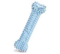 Nylabone Gentle Puppy Teething Dental Chew Toy Bone with Nubs & Ridges, Chicken Flavour, Blue, XS, for Puppies Up to 7 kg