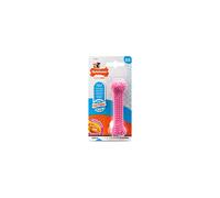 Nylabone Gentle Puppy Teething Dental Chew Toy Bone with Nubs & Ridges, Chicken Flavour, Pink, XS, for Puppies Up to 7 kg