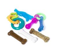 Nylabone New Puppy Starter Kit 5 Chew Toys and 1 Natural Treat for Puppies Multi Color Bacon & Chicken Flavor Small - Up to 25 lbs 6 Pack