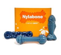 Nylabone Power Chew Love Our Oceans Bundle Dog Chew Toys, Medium, 3 Count