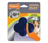 Nylabone Power Play Crazy Ball Interactive Play Toy, Fetch Ball Toy for Dogs, Large (1 Count)