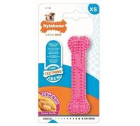 Nylabone Puppy Dental Chew - Pink - Extra Small