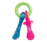 Nylabone Puppy Dog Teething Chew Toy Pacifier, Bacon Flavour, Extra Small, for Puppies Up to 7 kg, Blue/Pink