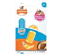 Nylabone Puppy Knotted Bone Chew - Beef